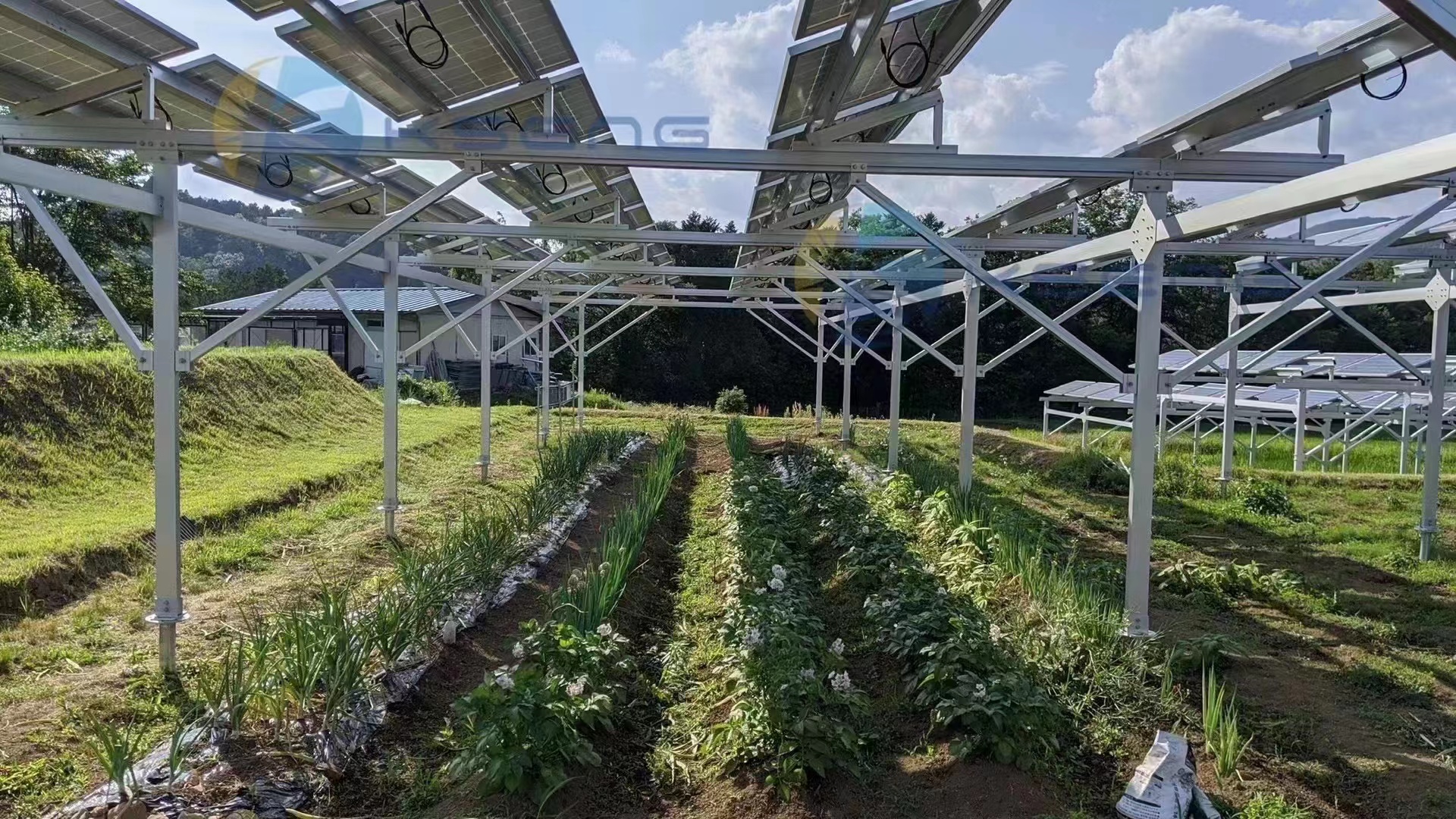 光伏支架的類型有哪些，你了解嗎